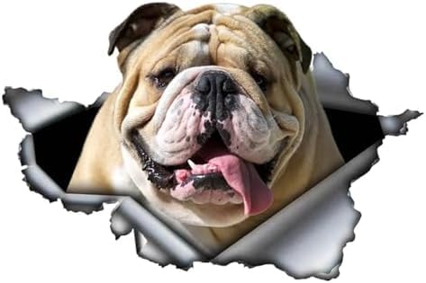 ZCHZCS 3ps Verschiedene Größen Selbstklebender Aufkleber Hundewagen Aufkleber Wasserdichtes Auto-Dekore Auf Stoßfänger Heckscheiben-Laptop 20 cm Autokondekorationsaufkleber Autoaufkleber von ZCHZCS