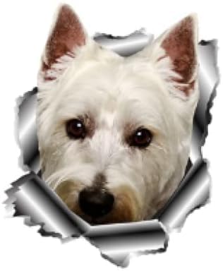 ZCHZCS Alanz 13 cm X 10,7 cm 3D Hund Vinyl Aufkleber Metall Aufkleber Aufkleber Fenster Stoßfänger Laptop Dekor -Auto Styling ZCHZCS Alanz 13 cm X 10,7 cm 3D Hund Vinyl Aufkleber Metall Aufkleber Aufkleber Fenster Stoßfänger Laptop Dekor -Auto Styling von ZCHZCS