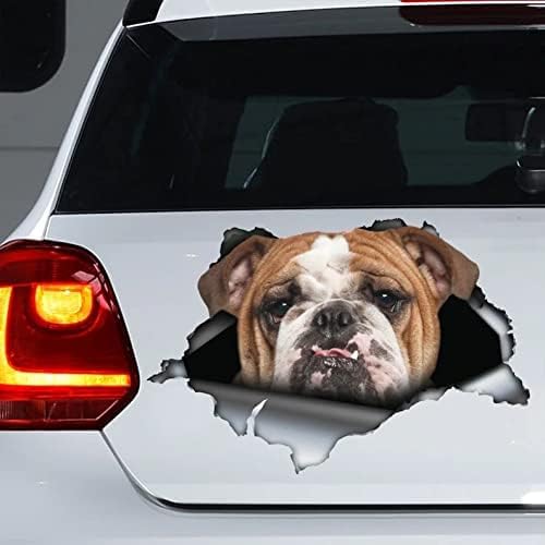 ZCHZCS Alanz 2 PCS Hundeaufkleber, Auto -Aufkleber, Vinyl -Aufkleber, Haustieraufkleber, Hundeaufkleber, Hundauto -Aufkleber von ZCHZCS