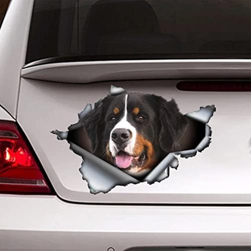 ZCHZCS Alanz 2 PCS Hundewagen -Aufkleber, Hundemagnet, Hundeaufkleber von ZCHZCS