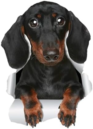 ZCHZCS Alanz 3D Niedliche Dackel -Wurst -Hundewagen -Autoaufkleber Autos Motorräder Außenzubehör Vinyl -Abziehbilder 18 cm X 12,8 cm Auto Aufkleber Aufkleber Autoaufkleber von ZCHZCS