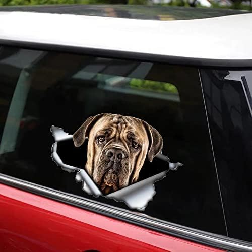 ZCHZCS Alanz3ps 3D Aufkleber Schwarzer Hundauto Aufkleber wasserdichte Auto -Dekore Auf Stoßfänger Heckscheiben -Laptop 17 cm Laptop Koffer Truck Accessoires Auto -Aufkleber von ZCHZCS