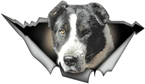 ZCHZCS Alanz3ps Boar Auto Sticker Eber Aufkleber Wildschwein Aufkleber Waldtiere Auto Aufkleber Big Boar Aufkleber Auto 20 cm Auto Aufkleber Auto Aufkleber Aufkleber von ZCHZCS