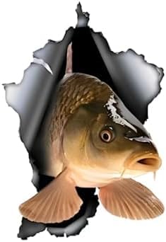 ZCHZCS Alanz3ps Fun Stickers Fischautoabziehbilder 14 * 20 cm von ZCHZCS