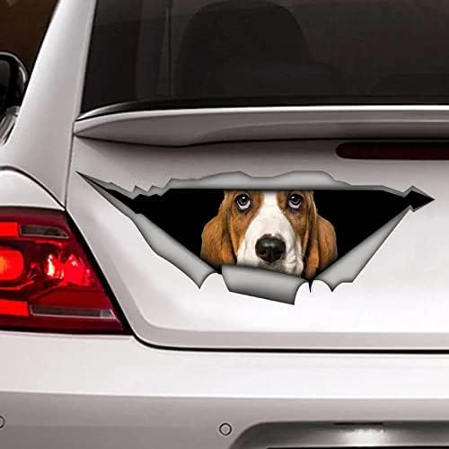 ZCHZCS Alanz3ps Hund 20 cm 3D Aufkleber Autoaufkleber Wasserdichtes Auto -Dekore Auf Stoßfänger Heckscheiben -Laptop -Autoaufkleber -Dekoration Aufkleber 3D Personalisierte Autoaufkleber von ZCHZCS