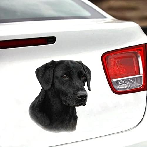 ZCHZCS Alanz3ps Schwarzer Labrador -Autoaufkleber Persönlichkeit Vinyl Aufkleber Wasserdichtes Autoaufkleber Auf Motorrad -Laptop -Dekorationsaufkleber Autoaufkleber Autoaufkleber Auto -Aufkleber von ZCHZCS