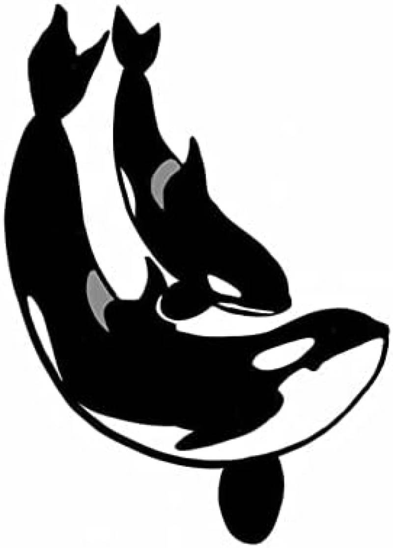 ZCHZCS Autoaufkleber 13 cm X 9,7 cm Orca Whale Auto Aufkleber Surfboard Kratzfeste wasserdichte Windschutzscheibe 3PS von ZCHZCS