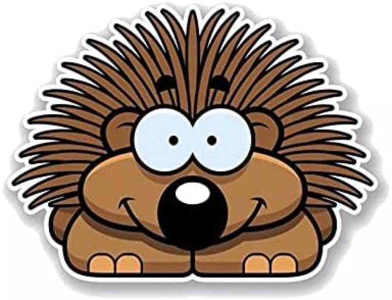 ZCHZCS Autoaufkleber 15,1 cm X 11,3 cm Cartoon Happy Hedgehog PVC Motorradautwagenaufkleber 3PS von ZCHZCS