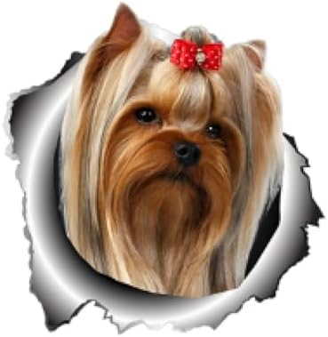 ZCHZCS Haustierhund Zerrissenes Metall Tier Styling Auto Aufkleber Automobile Motorräder Außenzubehör PVC -Aufkleber 13 cm X 12,6 cm Dekorationsaufkleber Autoaufkleber von ZCHZCS