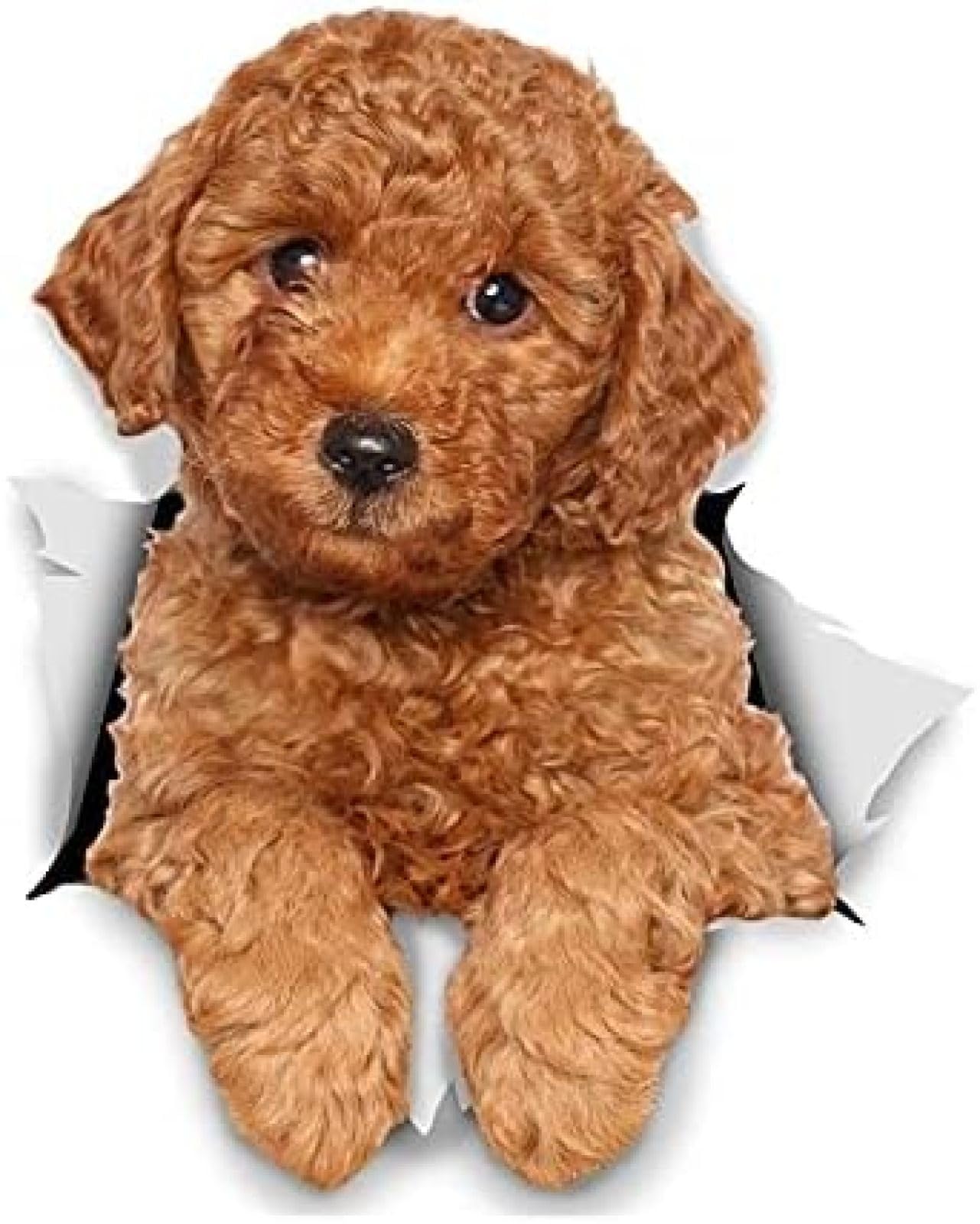 ZCHZCS Klebstoffe Für Hund 3D Red Pudel Für Autolkribünde WC Fenstertoilette Tragbarer Kühlschrank Jede Oberfläche Glatt Wasserdicht (Abmessungen: 15 cm) 3PS von ZCHZCS