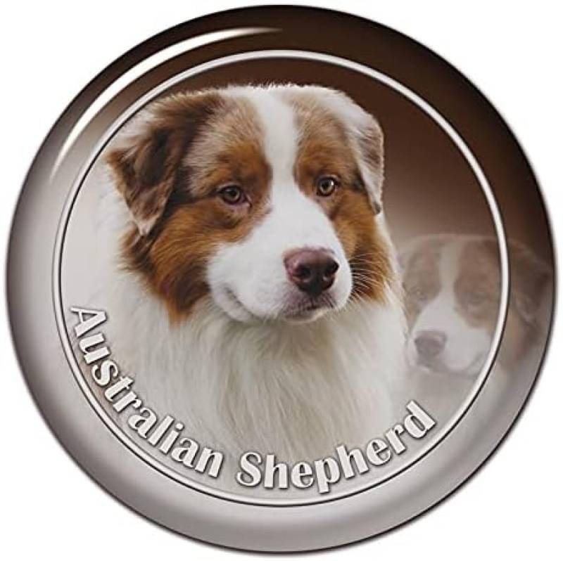 ZCHZCS PVC-0120-gedrucktes Selbst-adhäsives Dekal-Moskau-CSKA-AUT-Sticker-Wasser-Autodar-Decor-on-Streu-RER 3PS von ZCHZCS