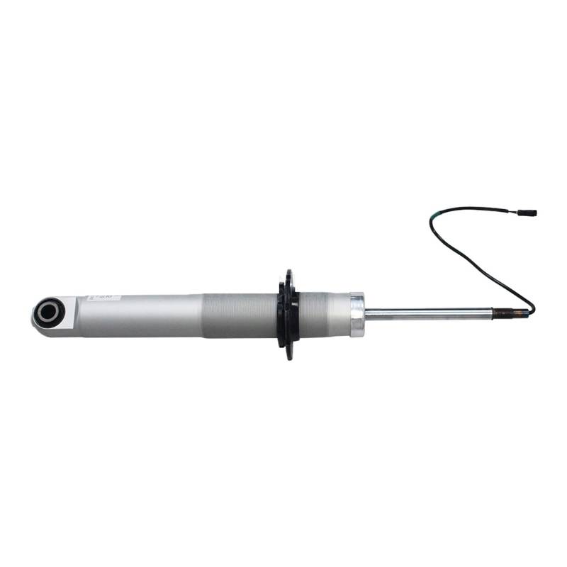 1x Hinten Stoßdämpfer Kern W/EDC Kompatibel for Quattroporte M139 2003-2007 Links Rechts Universal Luftfederung auto Zubehör(REAR LEFT) von ZDTYKWPH