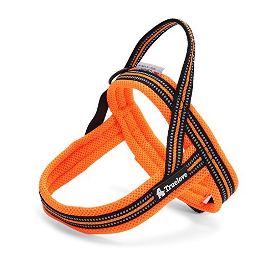 ZEEY Hundegeschirr Fluorescent 3M Night Reflective Stripes, weiche einstellbare Hunde Weste Harness gepolsterte Mesh-Kabelbaum für große / mittlere / kleine Hunde, orange (M (58-76cm)) von ZEEY