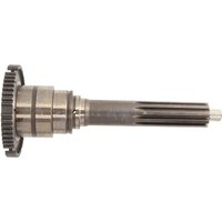 Antriebszahnrad ZF 1316202027ZF von Zf