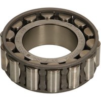 Lager, Schaltgetriebe ZF 0735455298 von Zf
