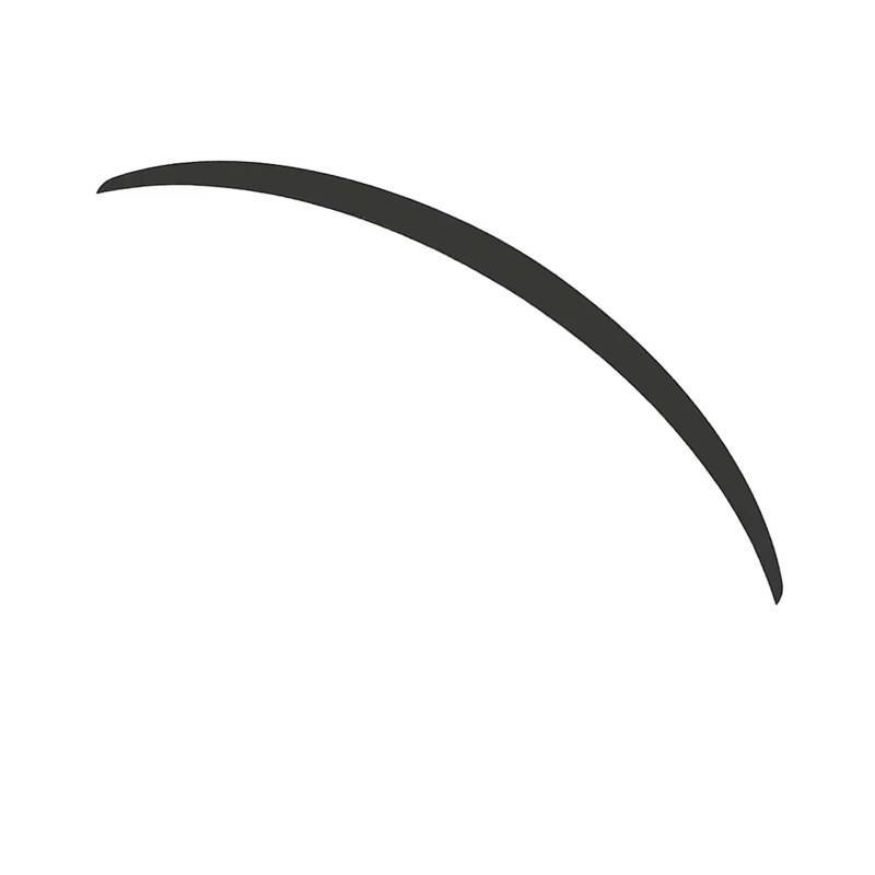 Heckspoiler Regal Für Tesla Für Model Y Für Model 3 2017 2018 2019 2020 2021 2022 2023 2024 Real Carbon Fiber Trunk Wing Spoiler Hecklippe Spoiler(M 3 Matte Black) von ZHANFEIS