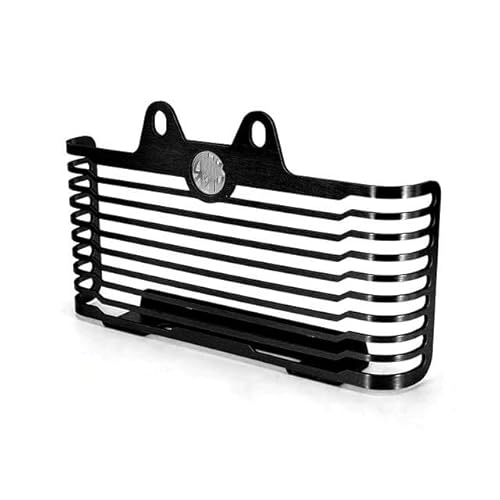 ZHANGTONG Motorrad Kühlerschutzgitter Motorrad Kühlergrill Schutz Moto Protector Grill Abdeckung Für R Nine T Urban R Nine T Reine R Nine T RnineT R9T Scrambler von ZHANGTONG