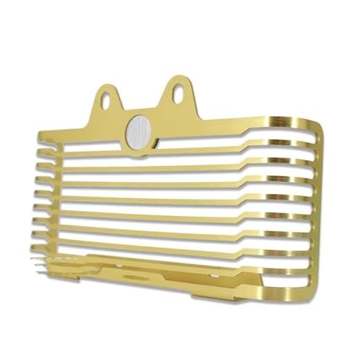 ZHANGTONG Motorrad Kühlerschutzgitter Motorrad Kühlergrill Schutz Moto Protector Grill Abdeckung Für R Nine T Urban R Nine T Reine R Nine T RnineT R9T Scrambler von ZHANGTONG