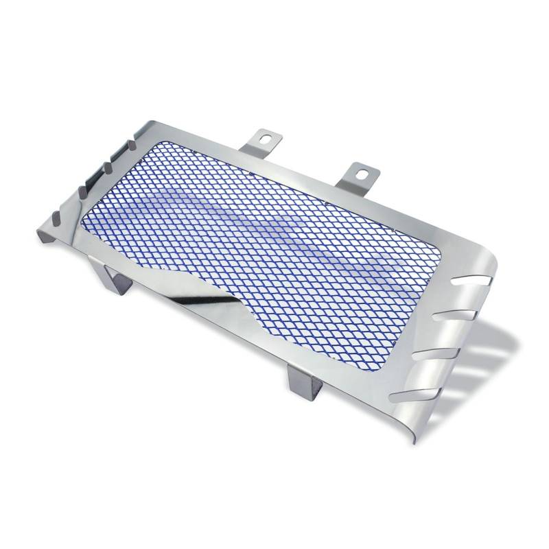 Wassertank Protector Schutzgitter Motorrad Kühlergrill Schutz Abdeckung Wasser Box Tank Net Für RnineT Rnine TR ninet 2014 2015 2016 2017 2018 Schutzhülle von ZHNRHJUE