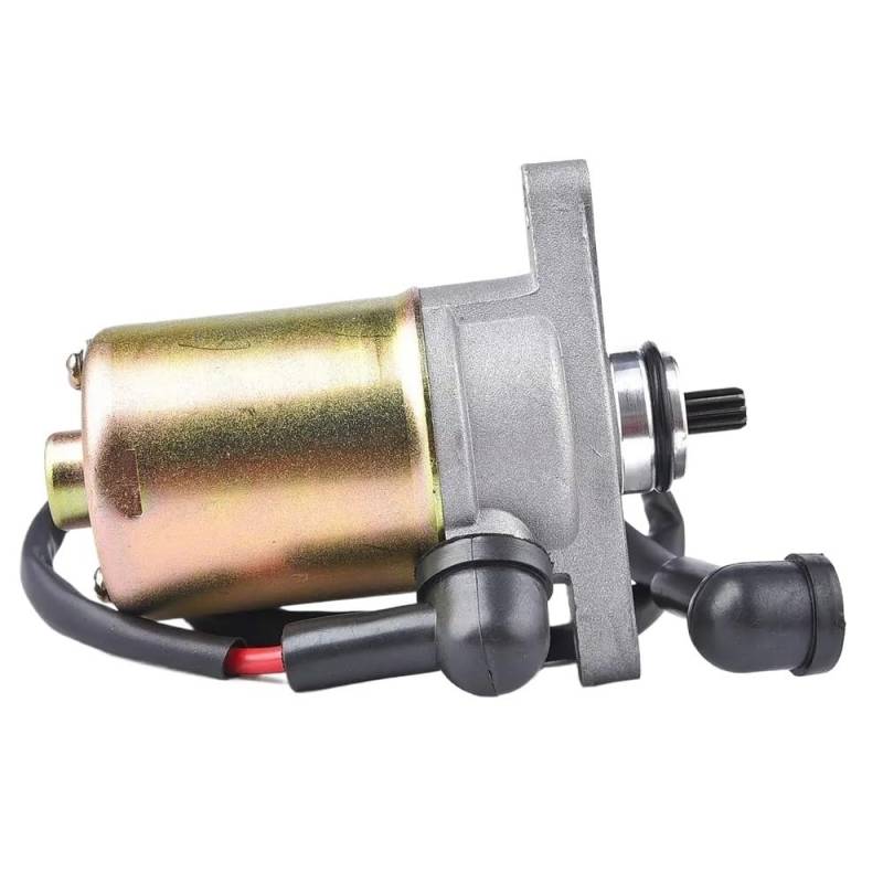 10 Zähne Anlasser kompatibel mit GY6, 50cc 60cc 80cc Scooter Moped ATV Kompatibel mit QMB139 Motor von ZJNWTVUH