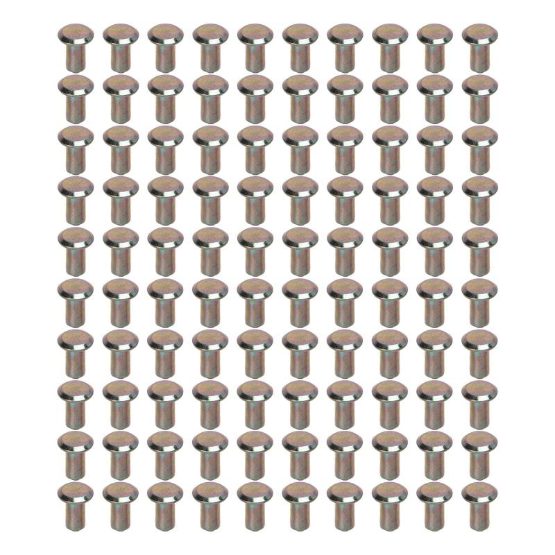 Radebenen, Schneestollen Universelle Reifenbolnen mit 100 PCs für SUV -Gabelstapel von ZJchao