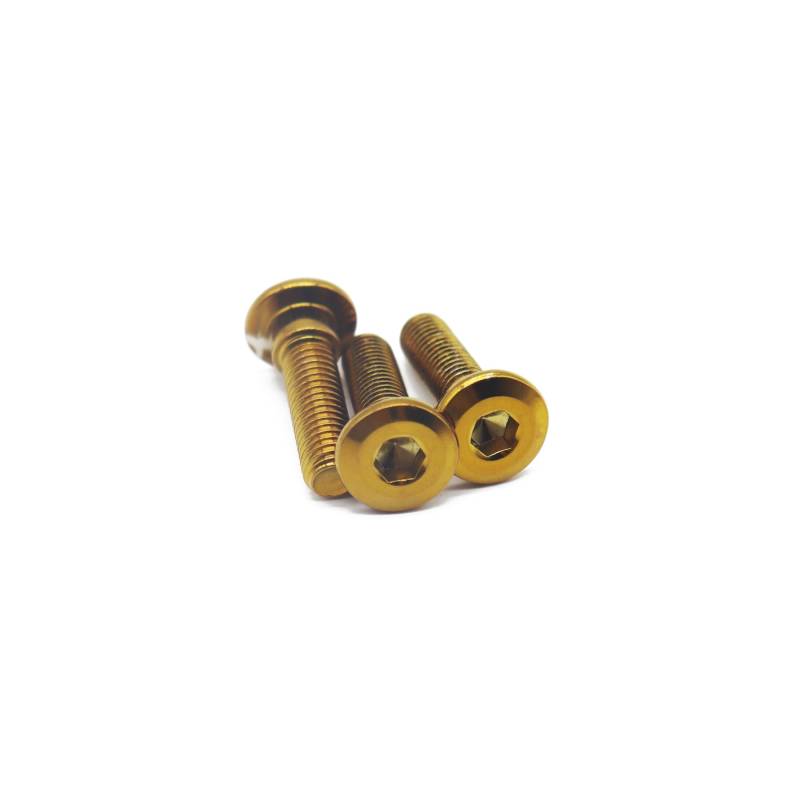 ZNCOJL Bremsscheiben Schrauben M8x25 Motorrad-Bremsscheibenschrauben(Gold) von ZNCOJL