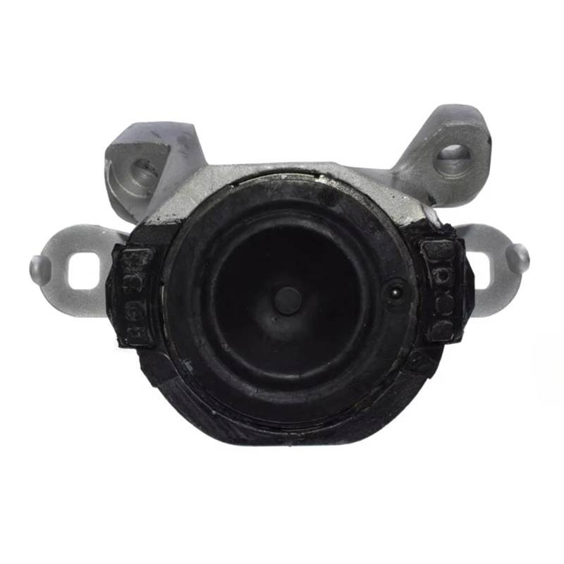 30776303 Autozubehör Motorhalterung Kompatibel für Volvo V50 S40 C70 C30 Ford 2005 2006 2007 2008 2009 31262676 von ZOCJNALC