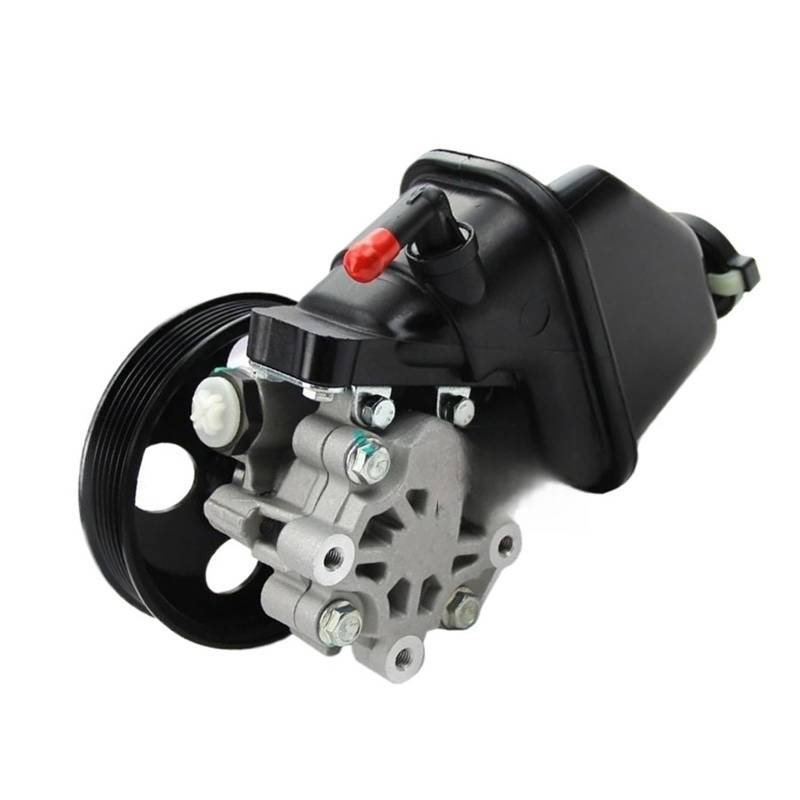 95048324 Compatible For Chevrolet Captiva 2.4L 2011-2015 Auto Hydraulic Pump Power Steering Pump With Oilcan von ZOCJNALC