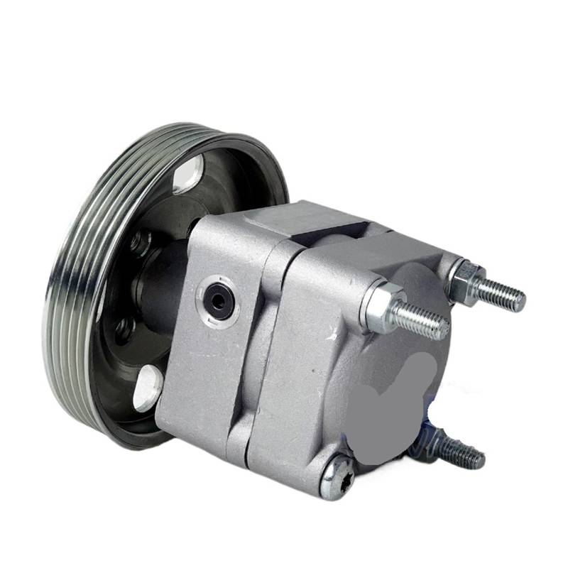 Compatible For Auto Power Steering Pump Volvo S80 II V70 III XC60 XC70 II 31202095 36000689 31280320 36000790 6G91-3A696-NA 6G913A696NB von ZOCJNALC