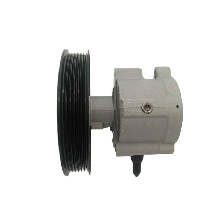 NEUE Servolenkung Pumpe Kompatibel Für Holden Commodore VT VX VU VY V8 5,7 L Gen3 LS1 92116788 von ZOCJNALC