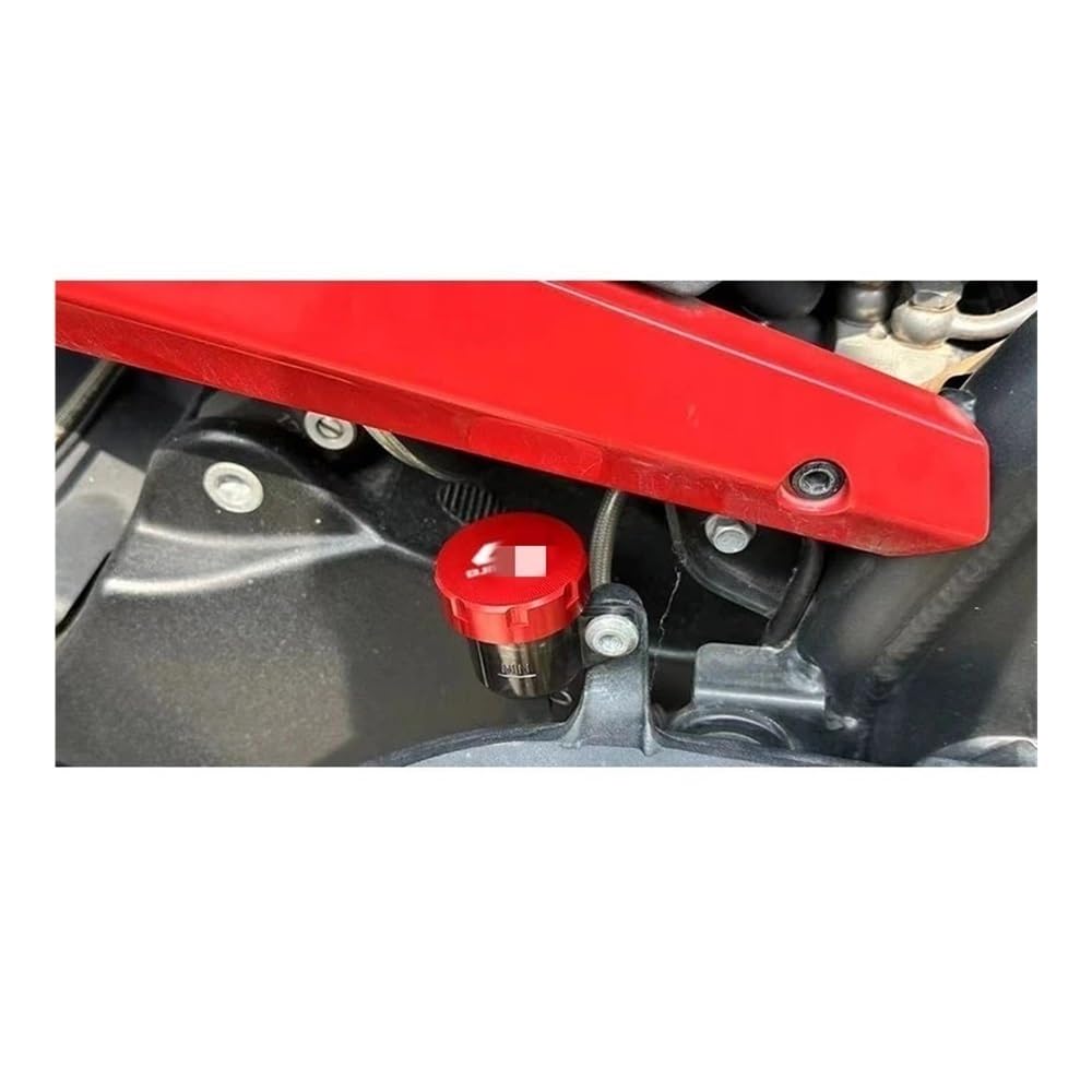 Bremse Hauptzylinder Abdeckung Motorradzubehör Vorderradbremse Kupplung Hinterradbremsflüssigkeitsbehälterdeckel Für QJ SRT 800 800X 800SX 800SRT SRT 800X 800 Bremse Hauptzylinder Abdeckung Motorradzubehör Vorderradbremse Kupplung Hinterradbremsflüssigkeitsbehälterdeckel Für QJ SRT 800 800X 800SX 800SRT SRT 800X 800 von ZUYNPOQ