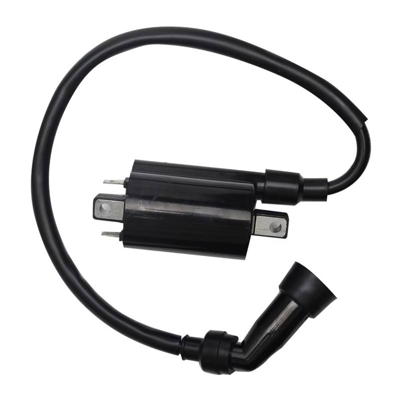Zündeinheit Für Yeson Für Huiqi Für Tokai Motorrad EFI Hochspannungspaket Zündspule 4.0Ω System Ändern Teil Ersetzen Zubehör Zündspule von ZVZGPGKLTC