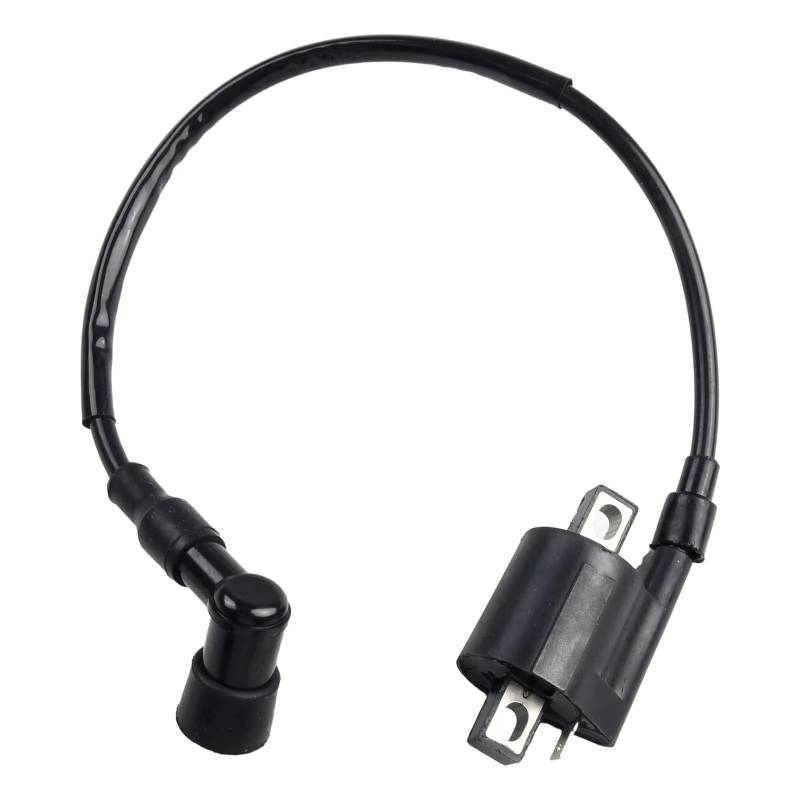 Zündeinheit Motorrad Links & Rechts Motorrad Modifikation Teile Motorrad Zündspule 12V ABS + Kunststoff Teile Zündspule von ZVZGPGKLTC