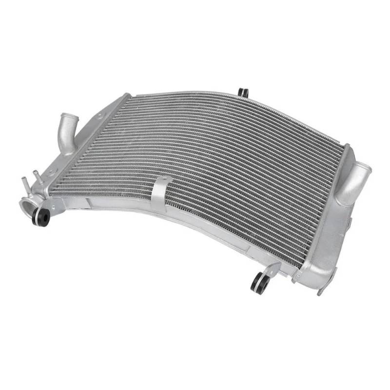 Kühlergrill Guard Abdeckung Schutz Motorrad Silber Kühlerkühlung Für GSR750 GSX-S1000 GSX-S1000F 2016-2020 2019 2018 2017 Aluminium von ZWEUTBM