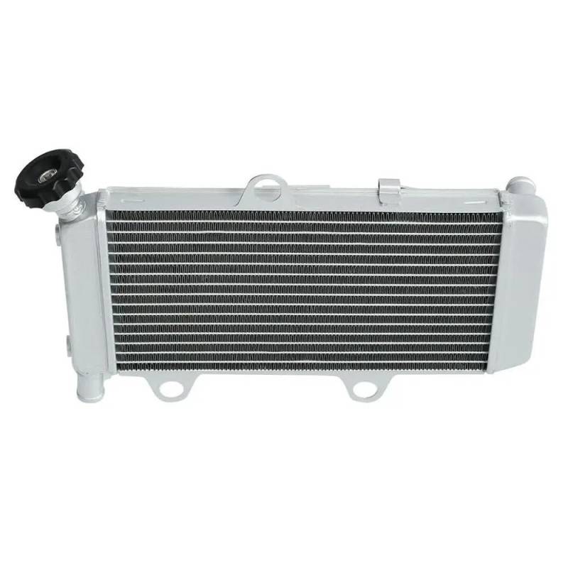 Kühlergrill Guard Abdeckung Schutz Motorradkühler Motorkühlung Kühler Für XT 660 RX 2004-2014 2005 2006 2007 2008 2009 2010 2013 2012 2011 von ZWEUTBM
