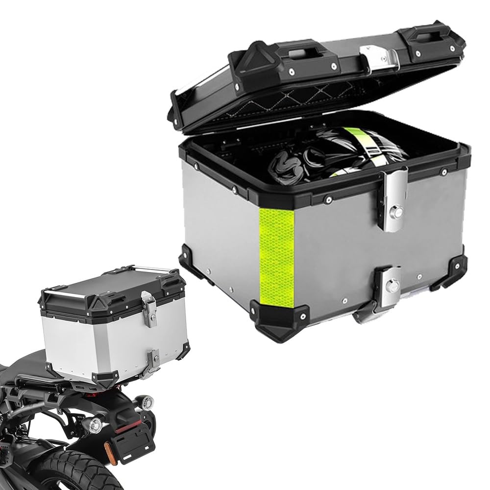 ZYXWLC Aluminium Motorradkoffer Topcase Helmkoffer Roller Koffer Motorrad Heckbox Mit Installieren Platte und Rückenlehne 28L 36L 45L 55L 65L 80L 100L(Silver,28L) von ZYXWLC