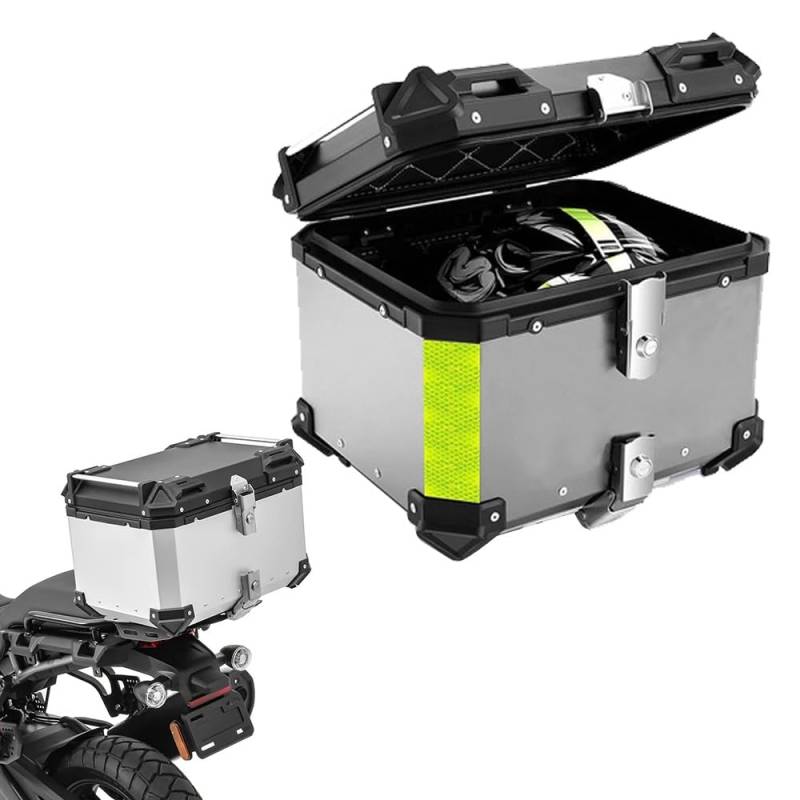 ZYXWLC Aluminium Motorradkoffer Topcase Helmkoffer Roller Koffer Motorrad Heckbox Mit Installieren Platte und Rückenlehne 28L 36L 45L 55L 65L 80L 100L(Silver,28L) von ZYXWLC