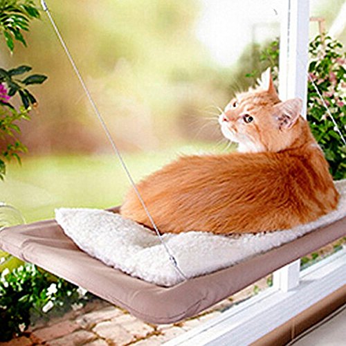 zantec Creative Fenster montiert Cat Hängematte mit Saugnapf Balkon Pet bett kissen Aufhängen Sitz L von Zantec