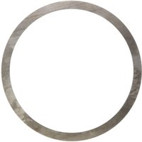 Sicherung, Hauptwelle des Automatikgetriebes ZF 0730100846 von Zf