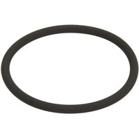 Sicherungsring des Automatikgetriebes ZF 0634316248 von Zf