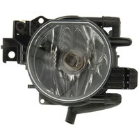 Nebelscheinwerfer ZKW 616.31.000.03 von Zkw