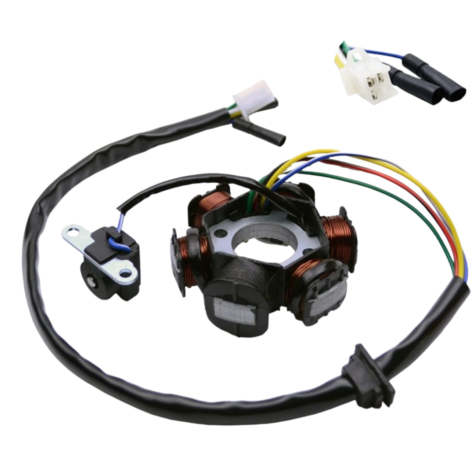 LICHTMASCHINE Stator 6 Spulen GY6 50ccm 4-Takt China Roller Scooter GY6 125cc 150cc ATV LICHTMASCHINE Stator 6 Spulen GY6 50ccm 4-Takt China Roller Scooter GY6 125cc 150cc ATV von Znen