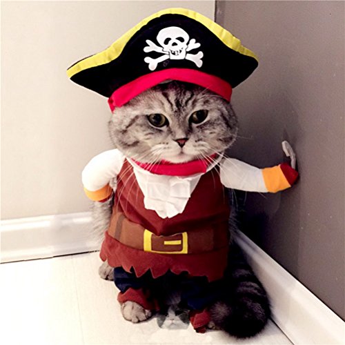 ZUNEA Halloween Hundemantel Piratenkostüm mit Verstellbaren Hut Kleine Haustier Katze Kleidung S von Zunea