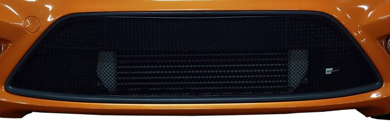 Zunsport Kompatibel mit Ford Focus ST MJ 08 – unterer Grill, komplett, schwarz (2008 bis 2010) von Zunsport