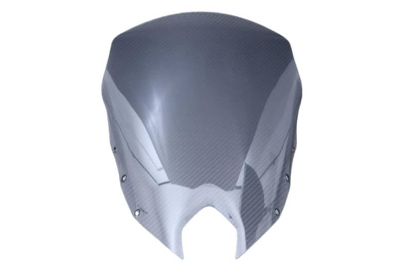 avdb-Moto Windschild/Windschutzscheibe kompatibel mit Yamaha XJ6 Diversion XJ-6 2010-2017 Polycarbonat (Getönt) von aVDB