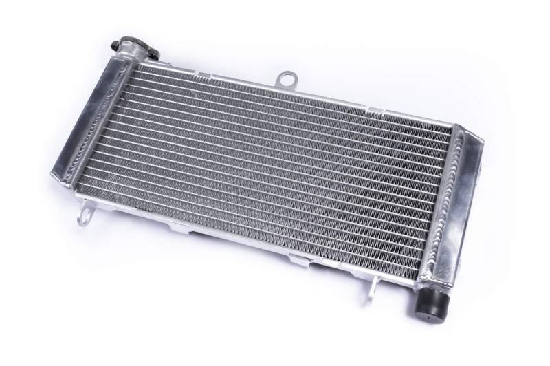 avdb-moto Kühler kompatibel mit HONDA CB600F CB HORNET 600 PC34 1998-2002, CB600F CB HORNET 600 PC36 2005-2006, CB600F CB HORNET 600 PC36 2003-04, CB600S CB HORNET 600 S PC34 2000-03 Racing von aVDB