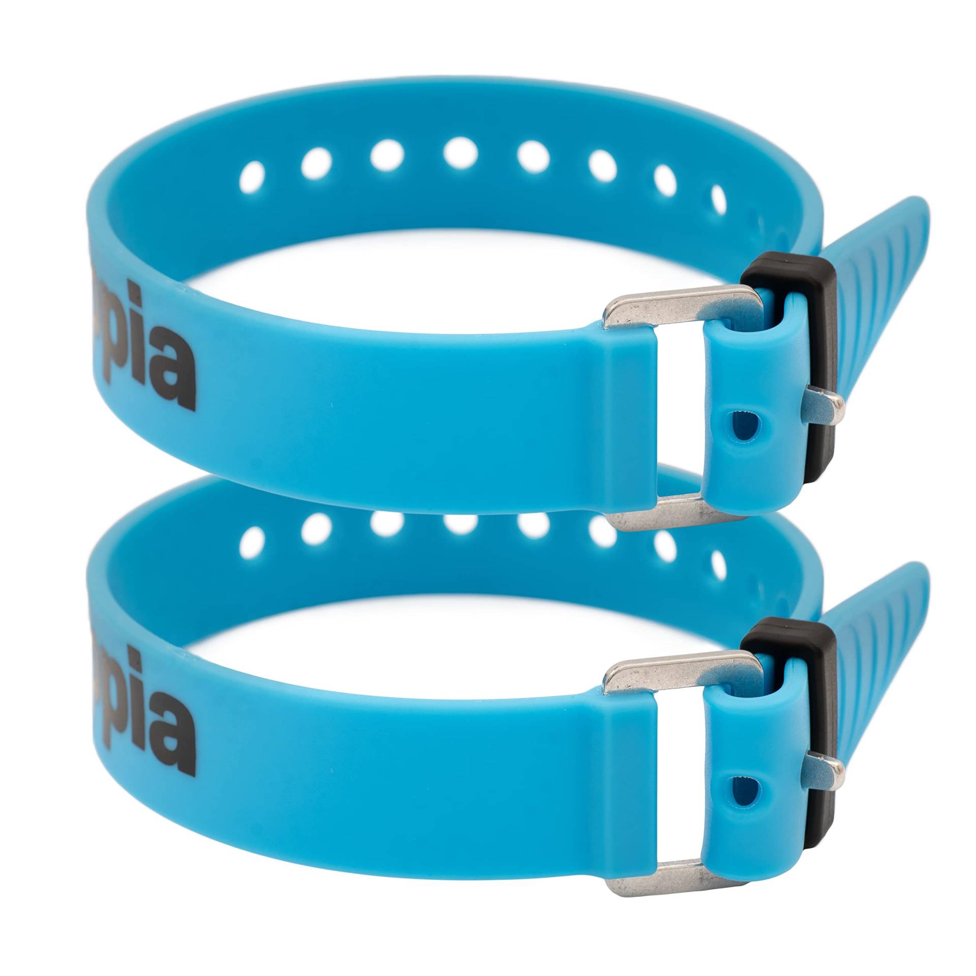 Appia Straps - Spanngurte 35cm Blau (2er Pack) inkl. Strap-Keeper für Fahrrad, Ski, Bikepacking, Camping, Heimwerken aus TPU mit rostfreier Aluminium-Schnalle von appia