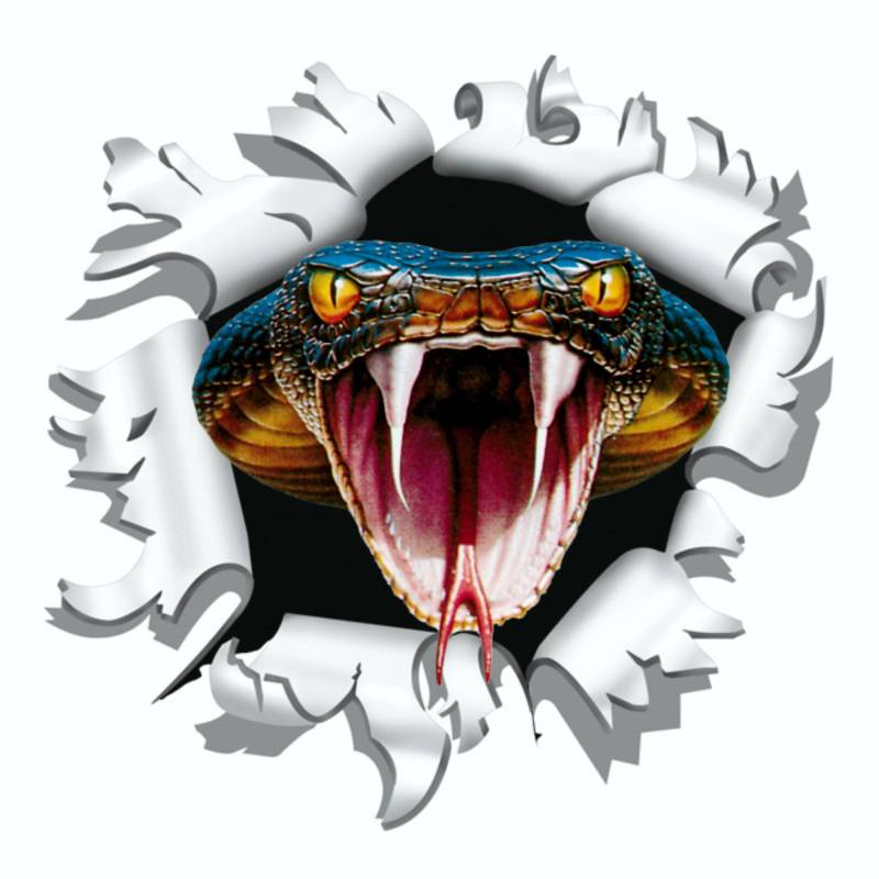 carstyling XXL Aufkleber Einschussloch 90 mm Motiv Cobra von carstyling XXL