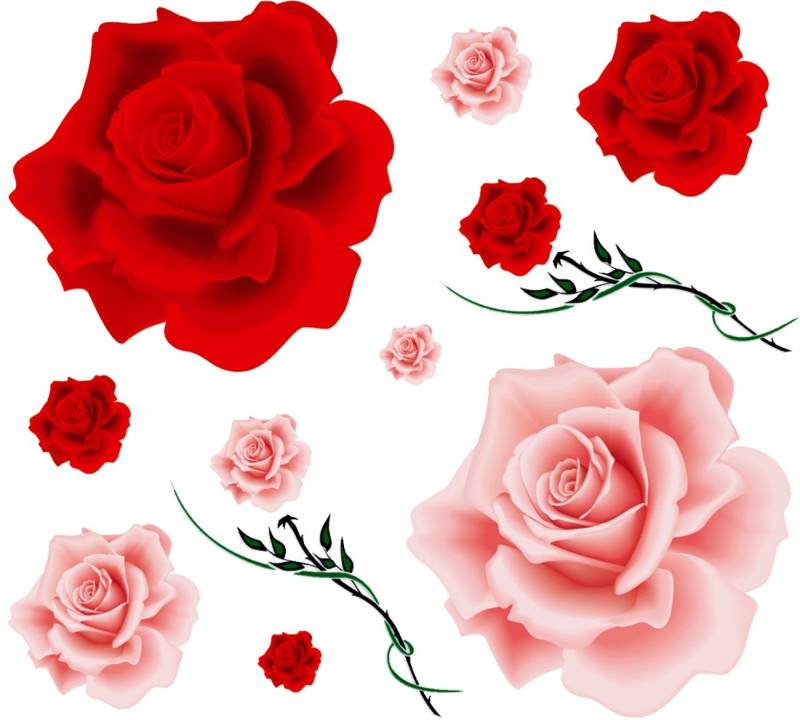 Aufkleber Rosenblüten-Set 300 x 300 mm rot/rosa von carstyling XXL