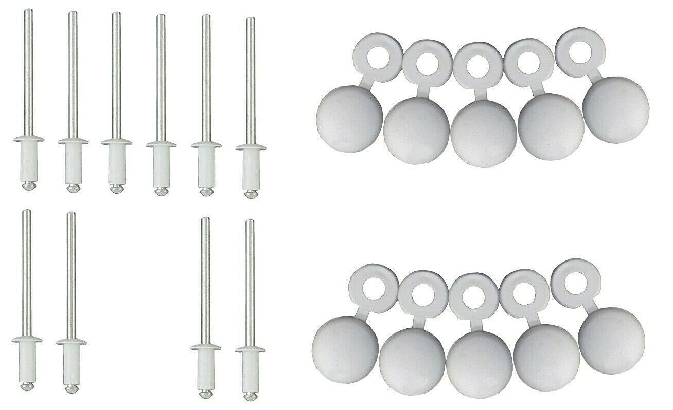 10 x Weiß BLINDNIETEN 4x16 + RUNDKNÖPFE NUMMERNSCHILDER AUTO MOTORRAD MOPED MOFA MOKICK NIET 4MM x 16MM BOLZ UNIVERSAL von cyclingcolors